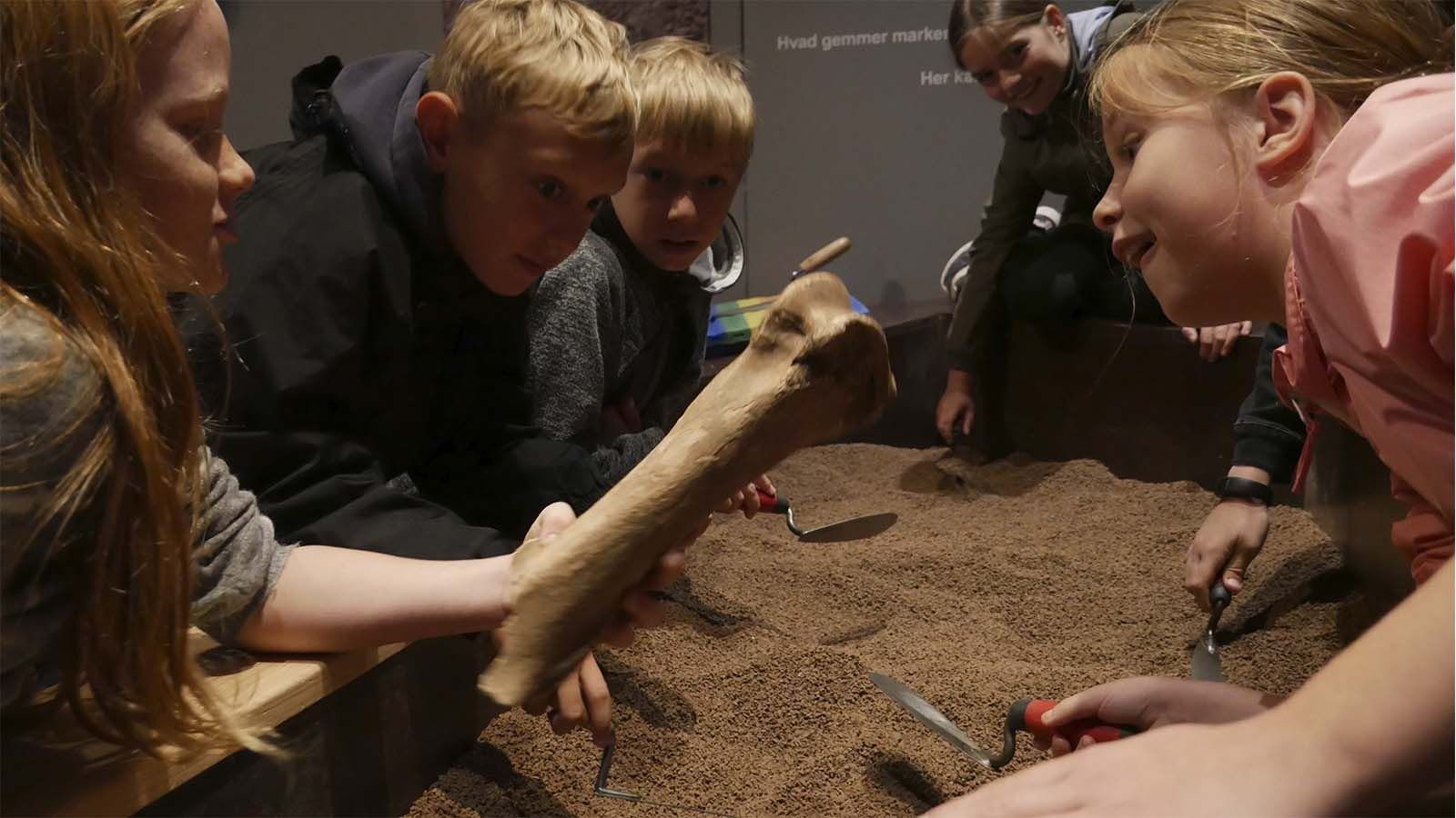 ARK Lab På Holbæk Museum