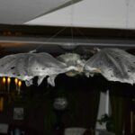 Flagermus i udstillingerne