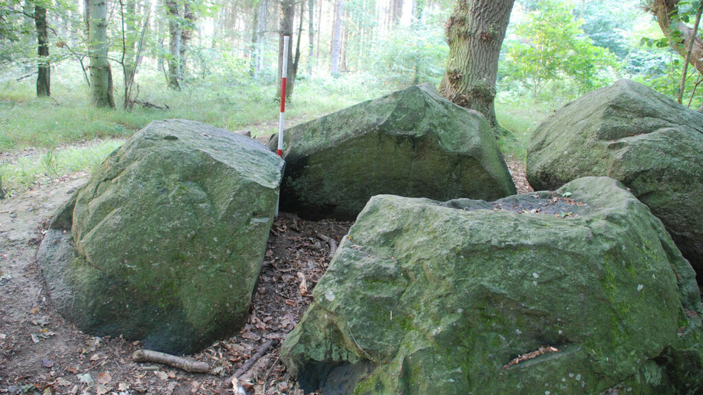 Dysse Korsør Lystskov