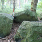 Dysse Korsør Lystskov