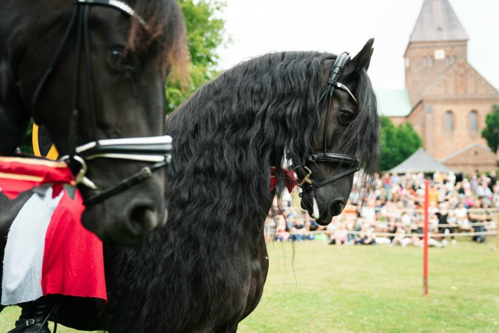 Middelalderfestival
