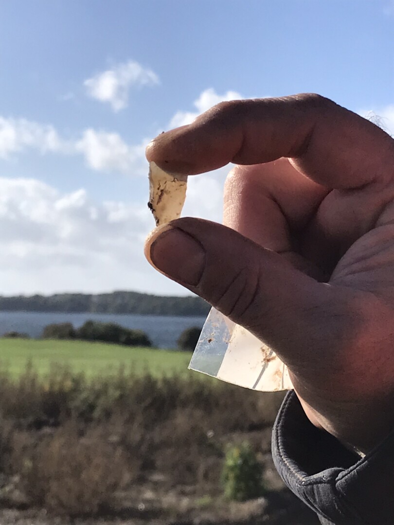 Tværpil Fra Gravkammeret