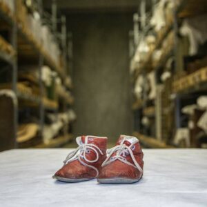 udstillingen Glimt på Odsherred Museum