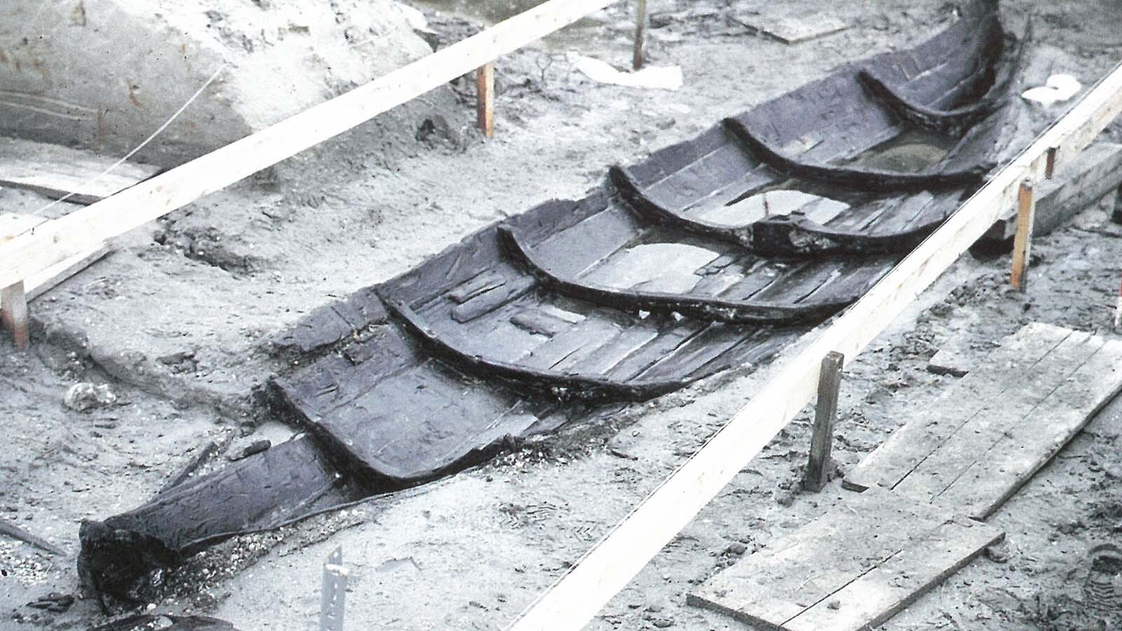 Udgravningen af Gislingebåden set skråt agtenfra. Faconen er velbevaret. Foto Morten Gøthche.