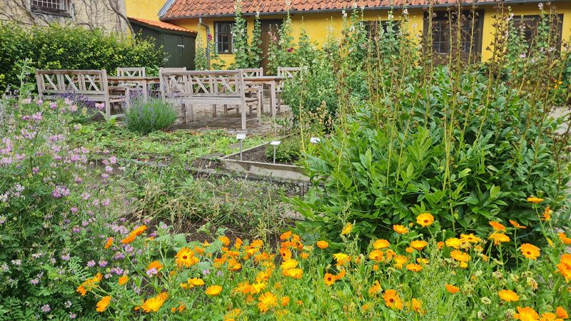 Apotekerhaven på Sorø Museum foto MVE