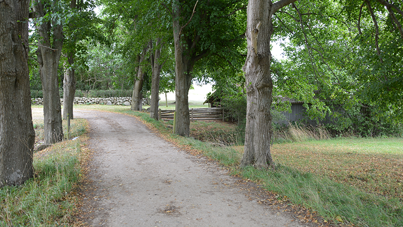 Indkørsel Malergården