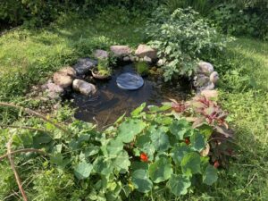 Foto_Mette Hergets have